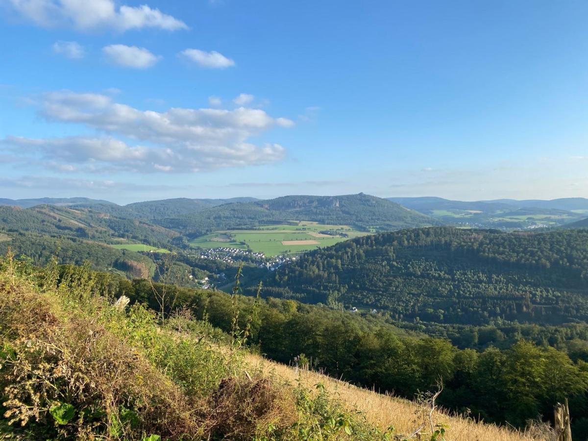Waldlaeufer Brilon Apartman Kültér fotó