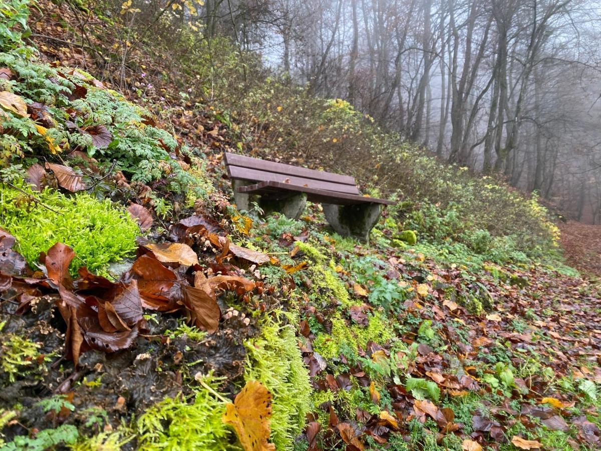 Waldlaeufer Brilon Apartman Kültér fotó