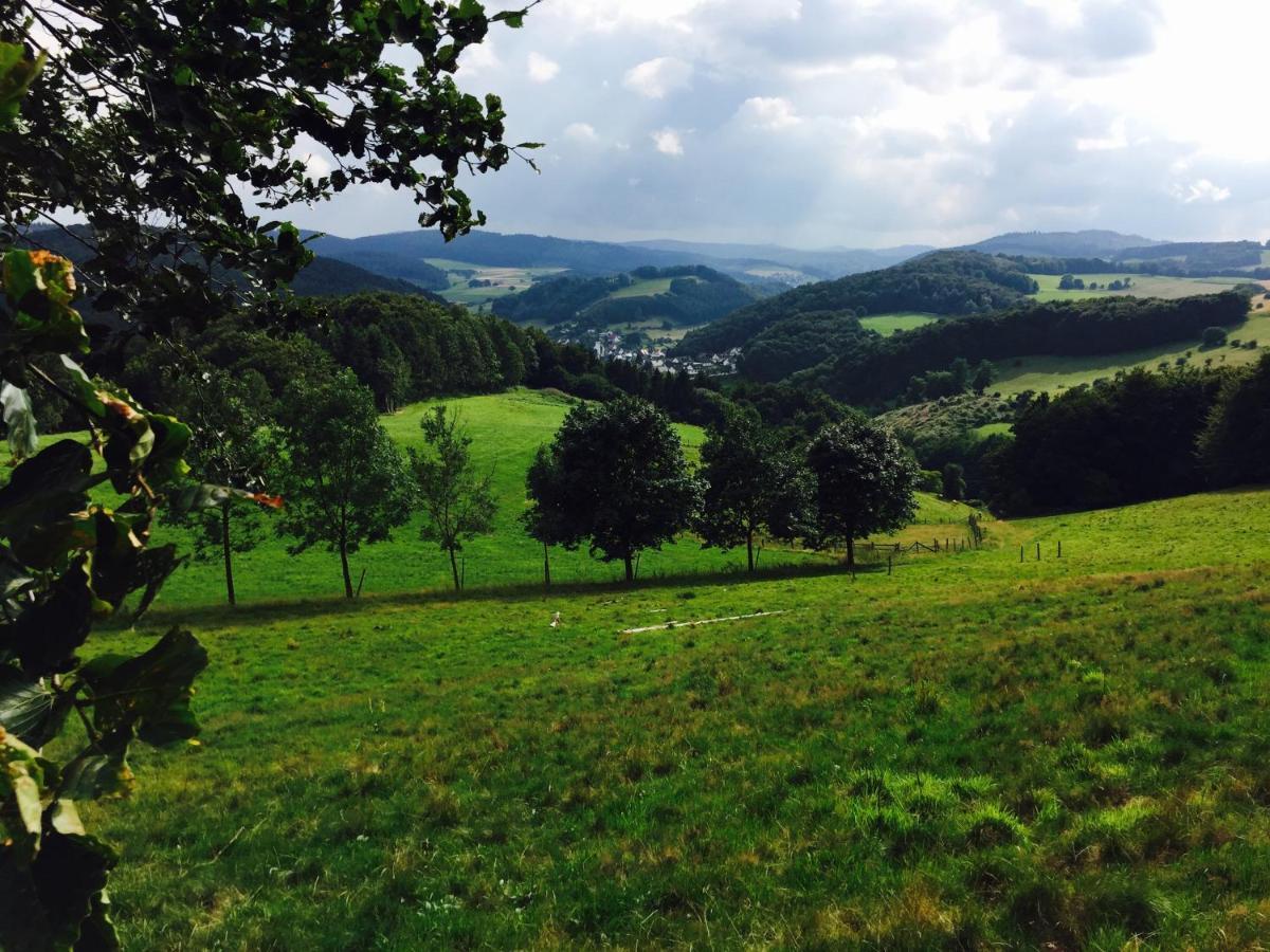 Waldlaeufer Brilon Apartman Kültér fotó