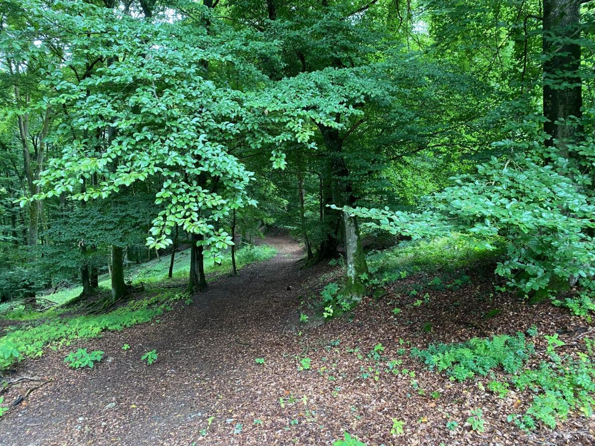 Waldlaeufer Brilon Apartman Kültér fotó